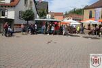 IMG_4660.JPG