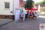 IMG_4854.JPG