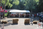 IMG_1971.JPG