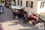 IMG_5290.JPG
